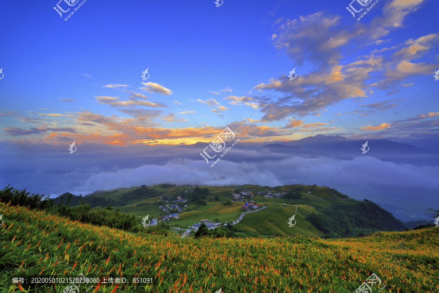 台湾花莲县百合花场大角度拍摄