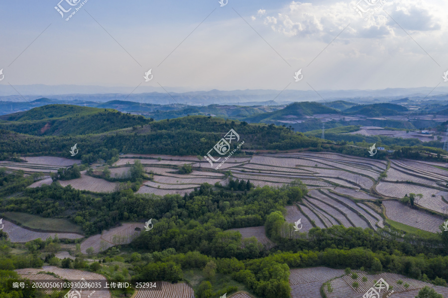 田野风光