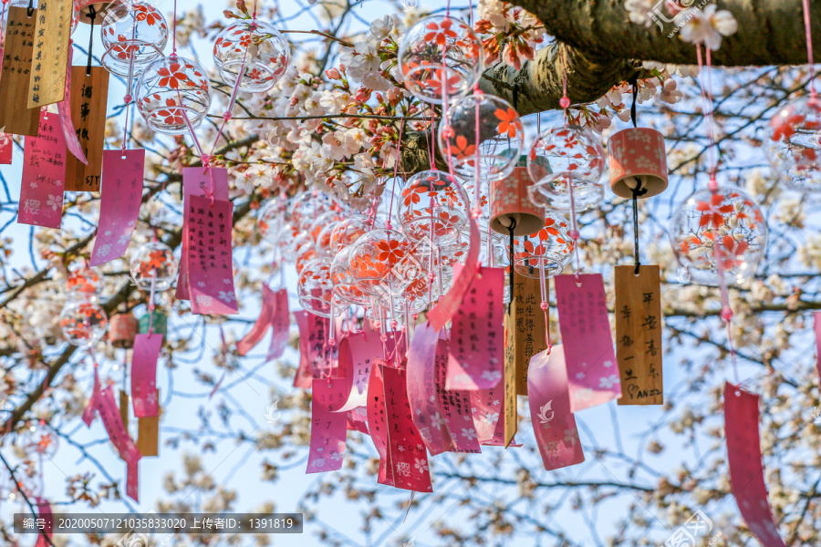 太湖鼋头渚风景区