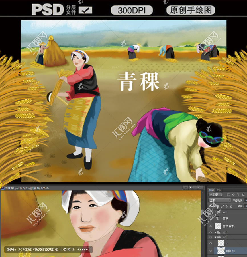 青稞插畫