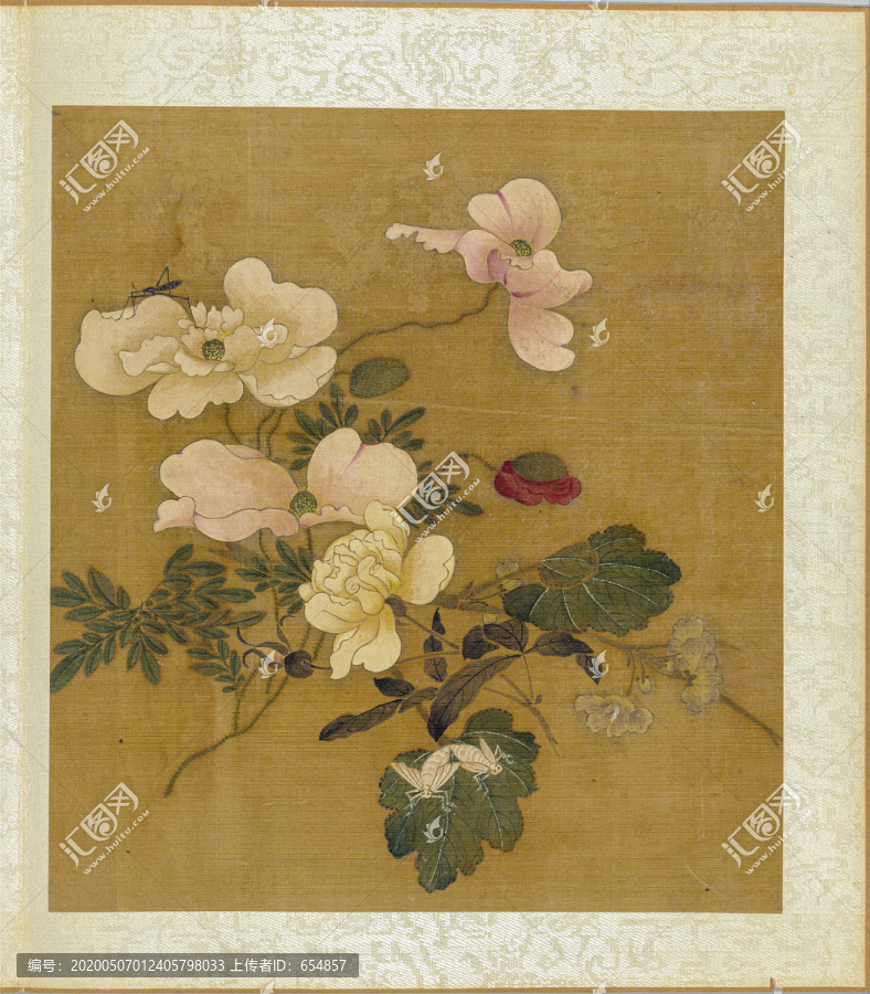 王淵寫生花卉冊之虞美人月季圖