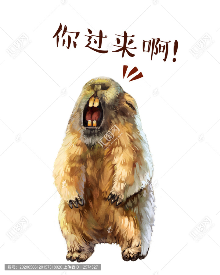 土撥鼠