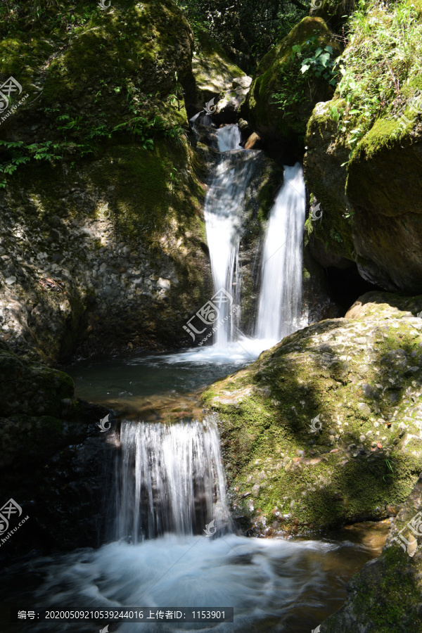 青城山风光