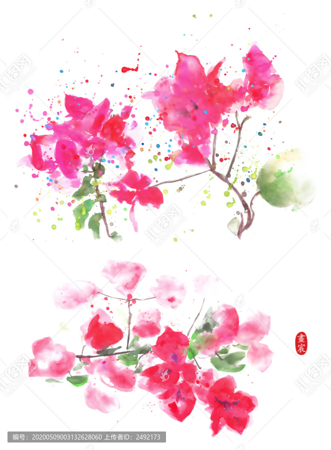 葉子花