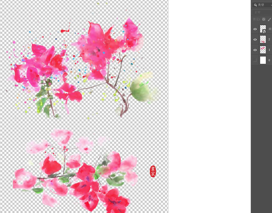 葉子花