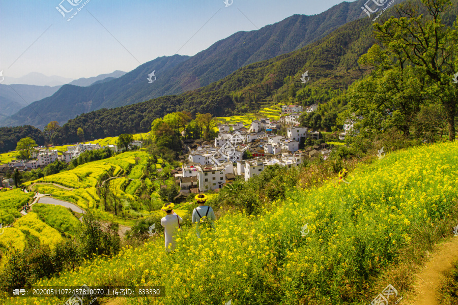 婺源江岭