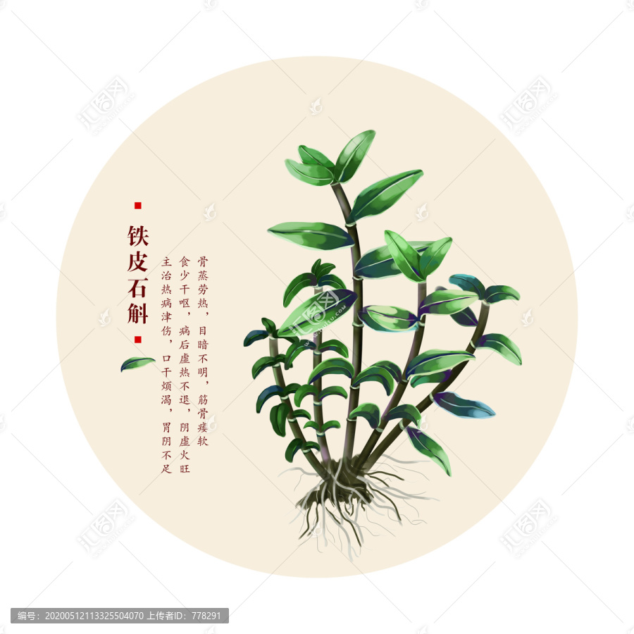 鐵皮石斛
