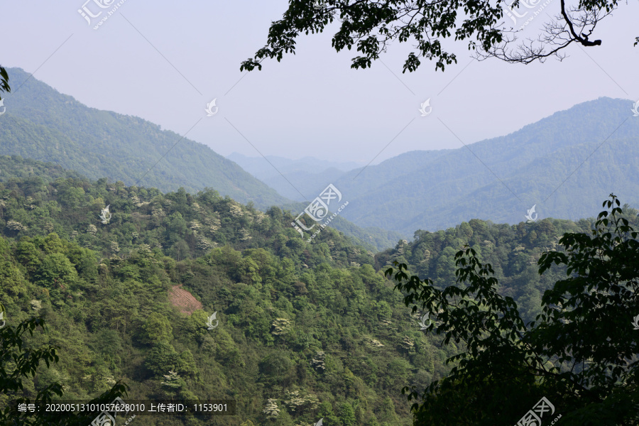 青城后山