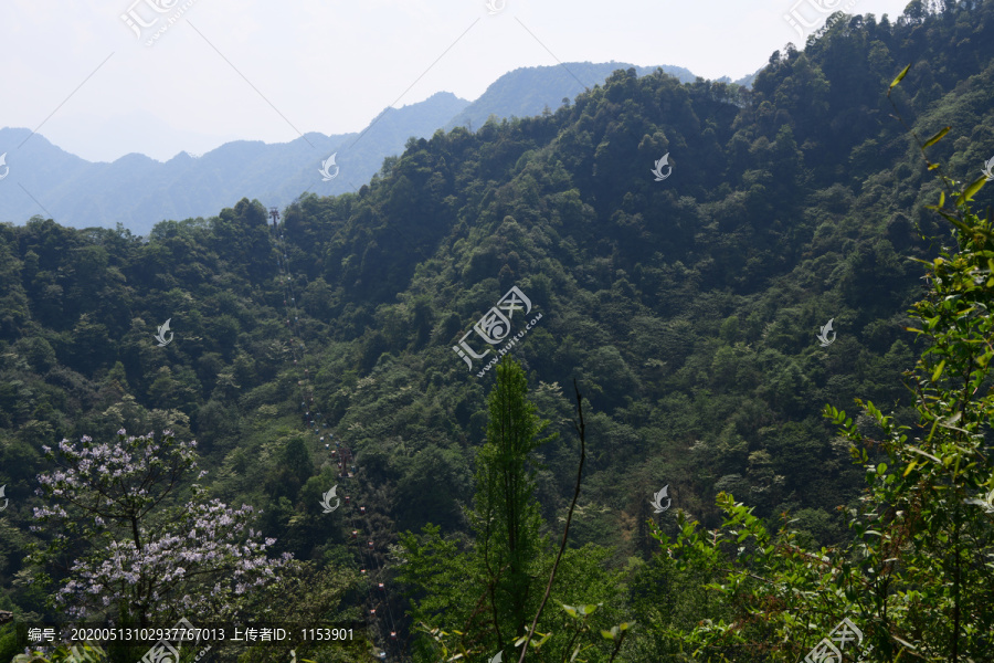 青城后山