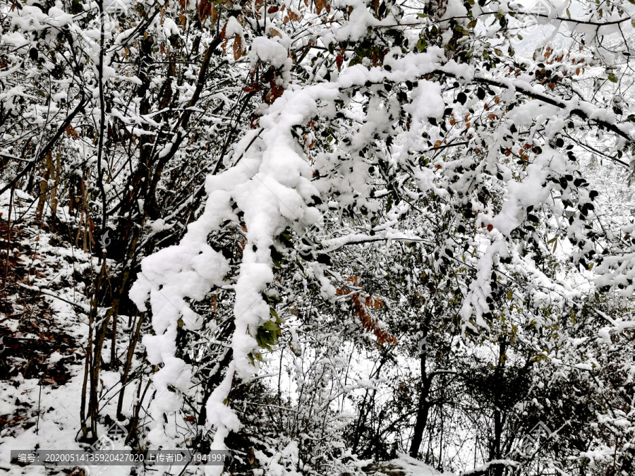 雪花