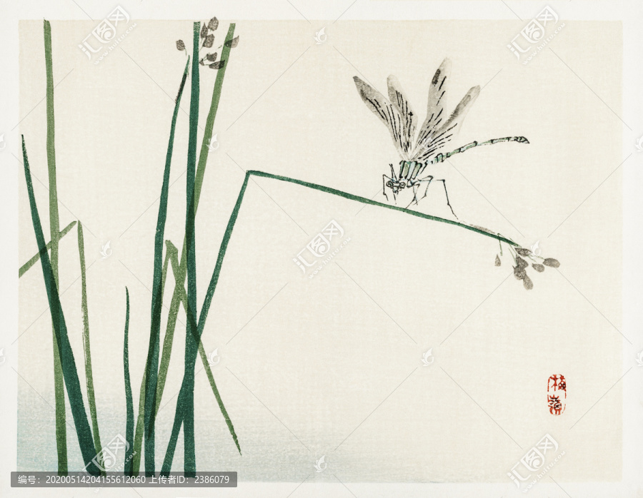 幸野楳嶺紙莎草葉上的蜻蜓