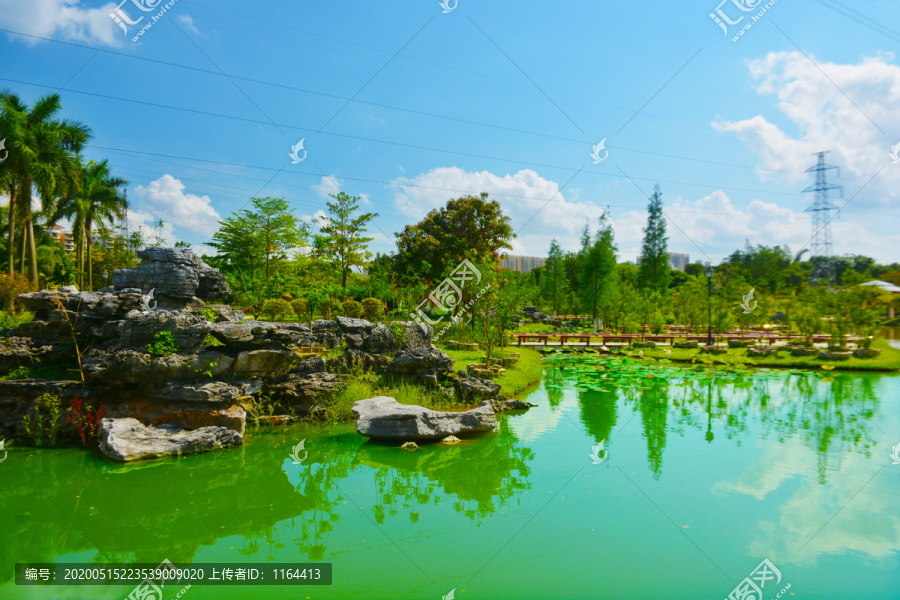湖景