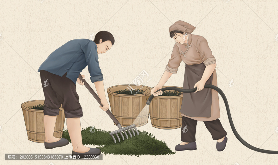 傳統(tǒng)茶藝制茶工藝工序插畫渥堆