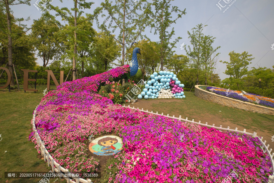 浦江郊野花园孔雀花圃