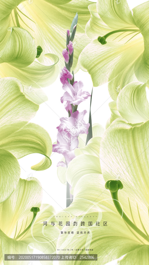 百合花海