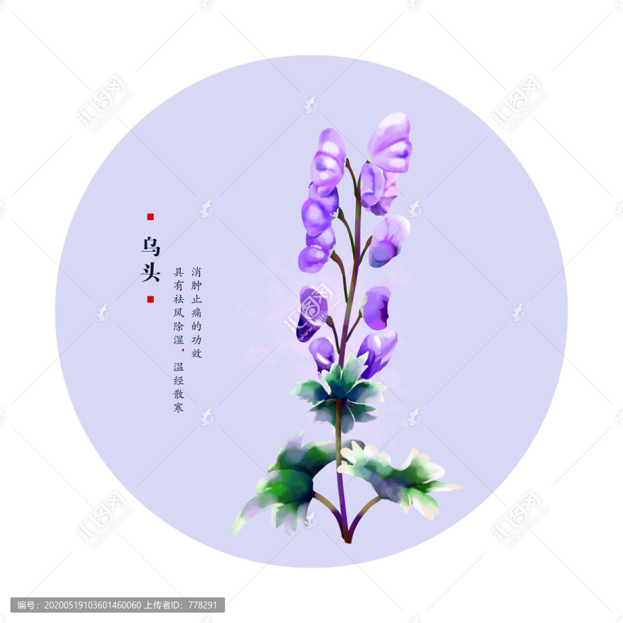 烏頭