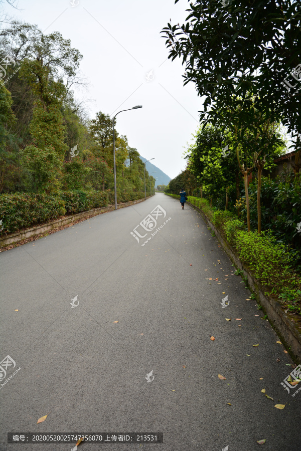 马路柏油路