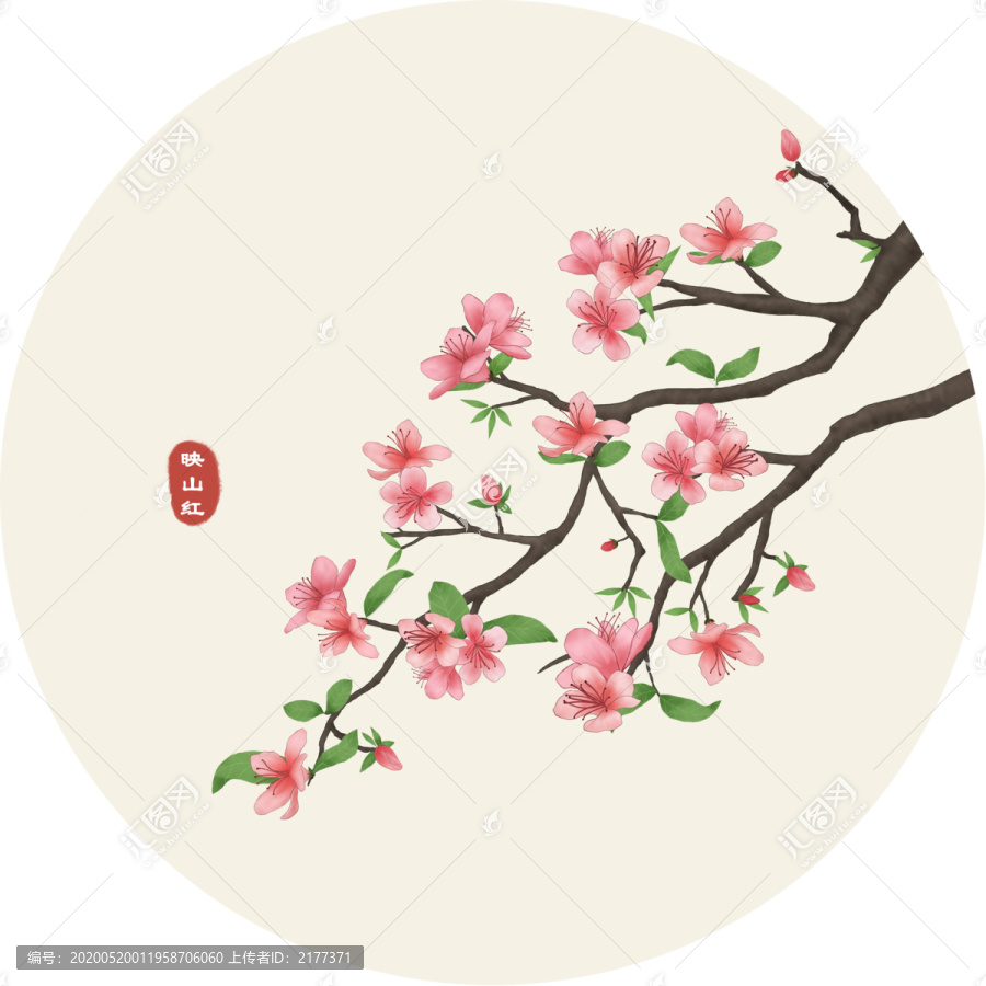 手繪插畫映山紅