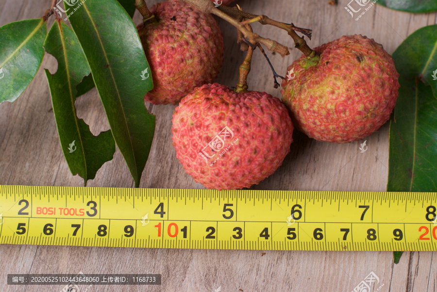 新鲜夏季水果荔枝王直尺测量大小