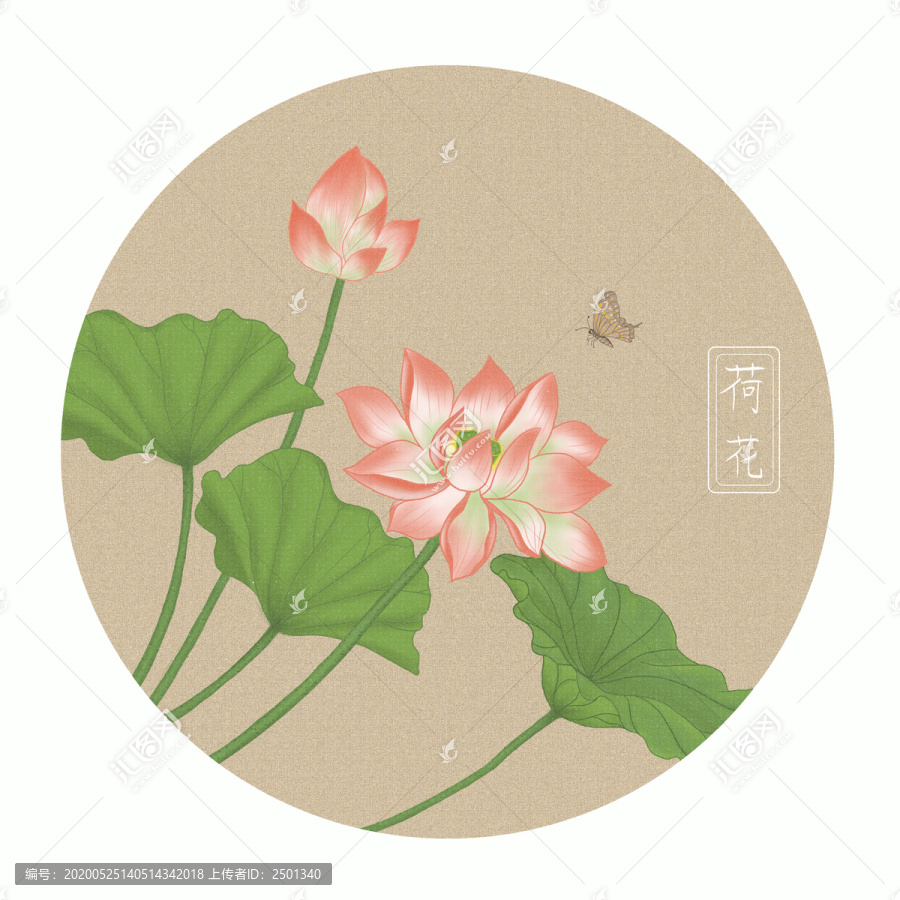 荷花插畫