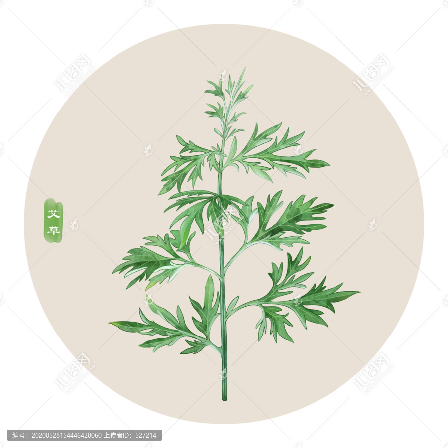 艾草