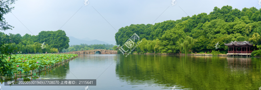 杭州西湖夏天大画幅