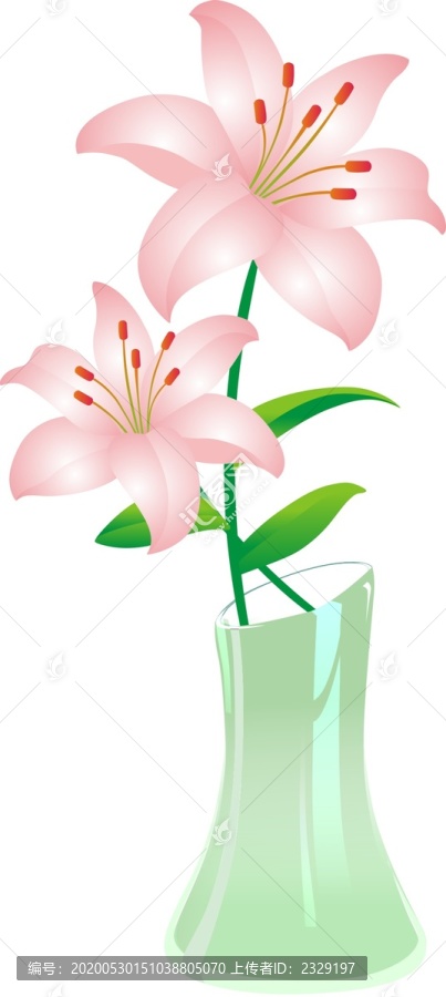 百合花