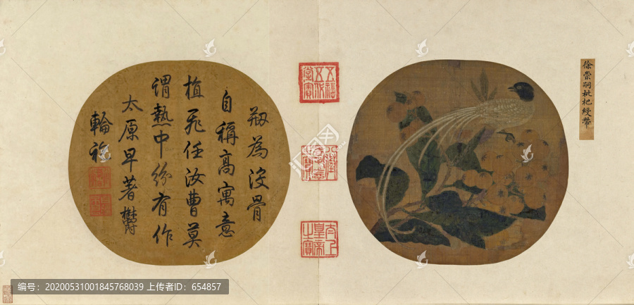徐崇嗣枇杷綬帶圖