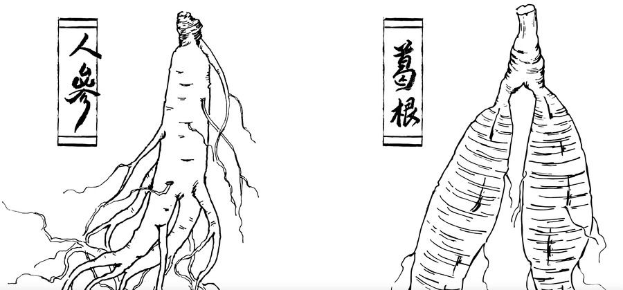 中藥