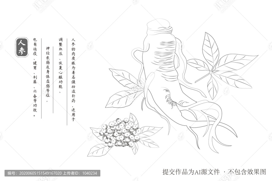 線條人參
