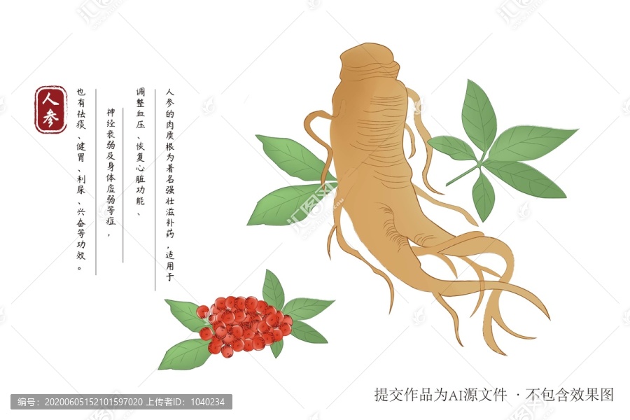 手繪人參