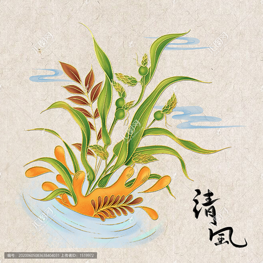 薏米插畫