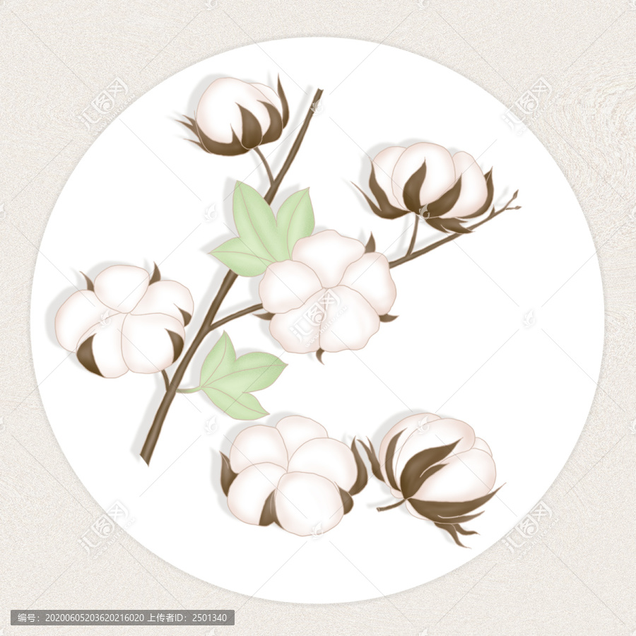 原創(chuàng)手繪小清新棉花插畫素材