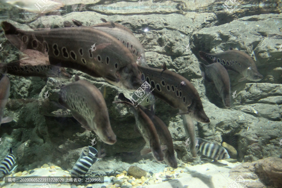 水族馆