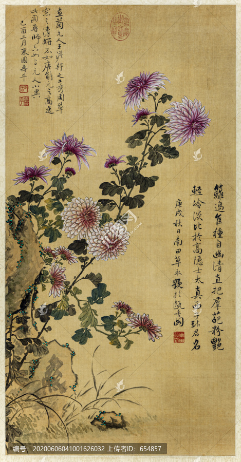 惲壽平菊花圖