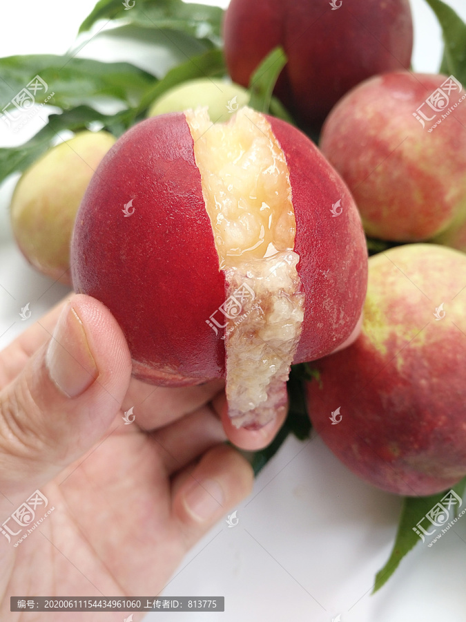 陽山水蜜桃素材