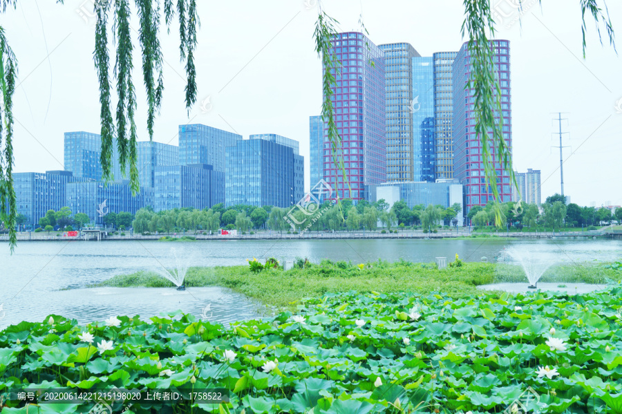 南京江宁九龙湖