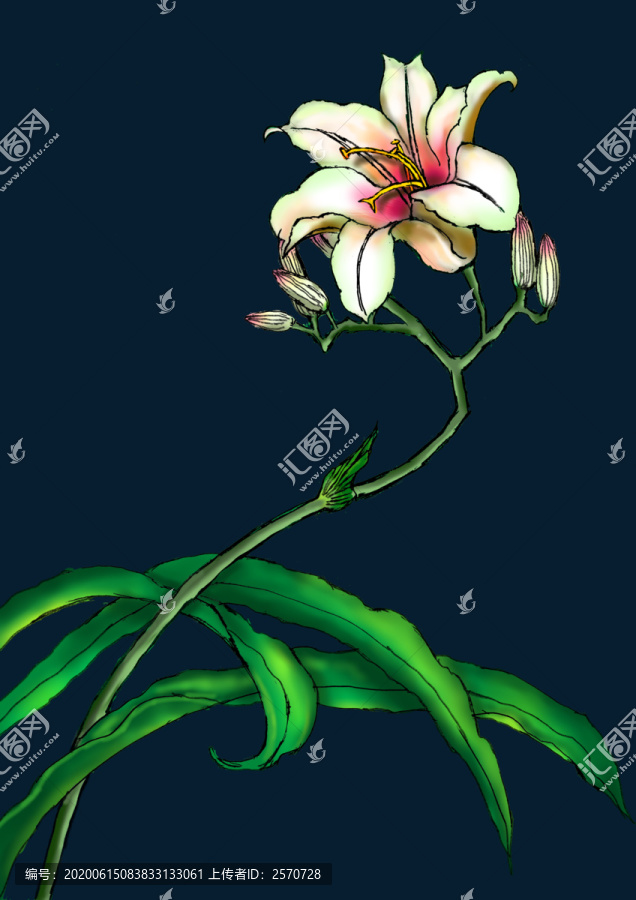 彩繪百合花