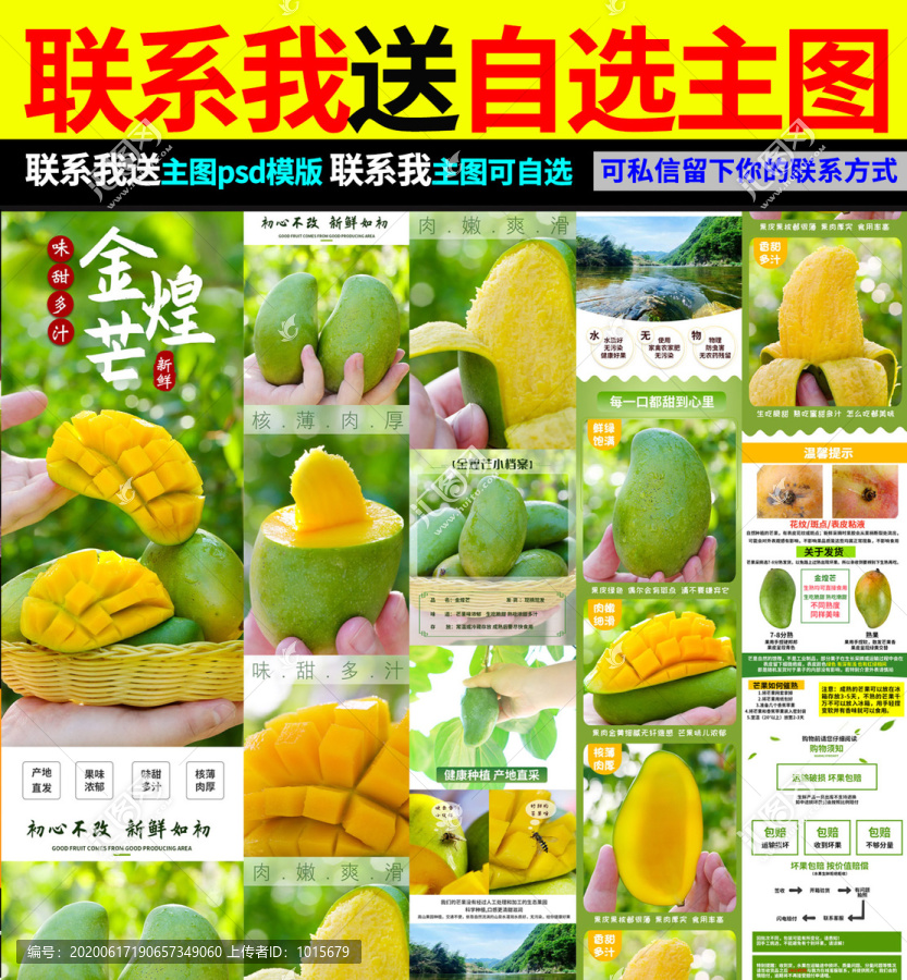 金煌芒詳情頁