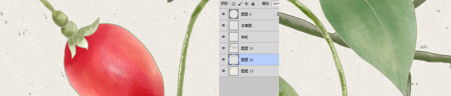 手繪枸杞