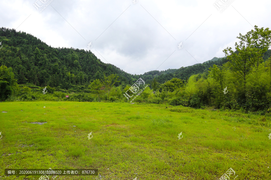 野外绿色草地