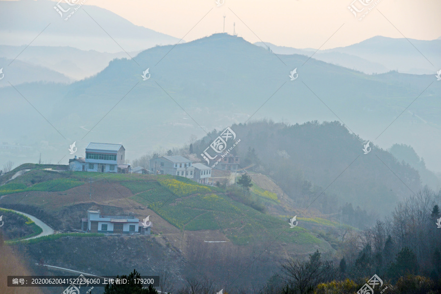 县河云雾BU