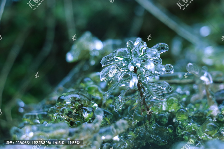 冰雪