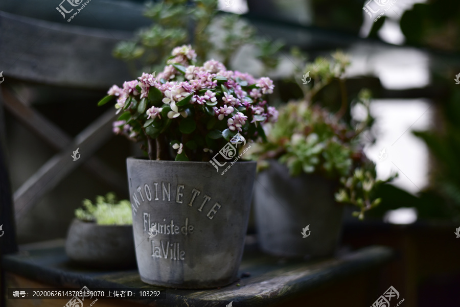 小文艺风格的花盆