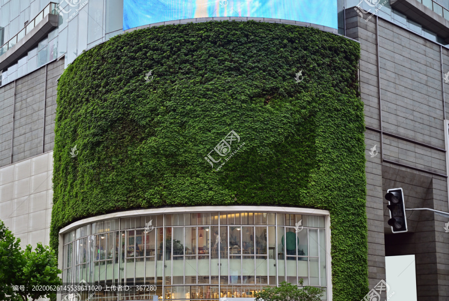 商业建筑户外绿色背景墙
