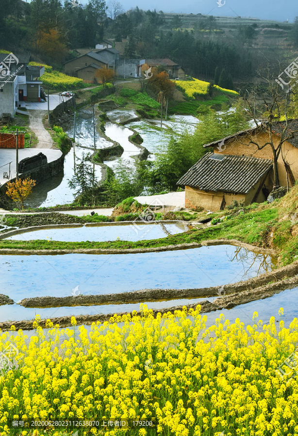 春色满田园