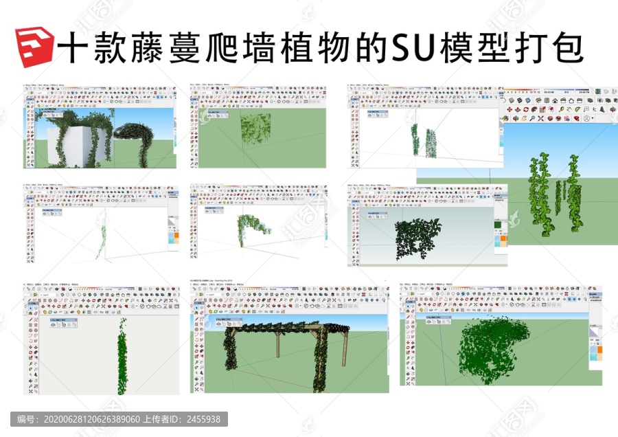 十款藤蔓爬墙植物的SU模型