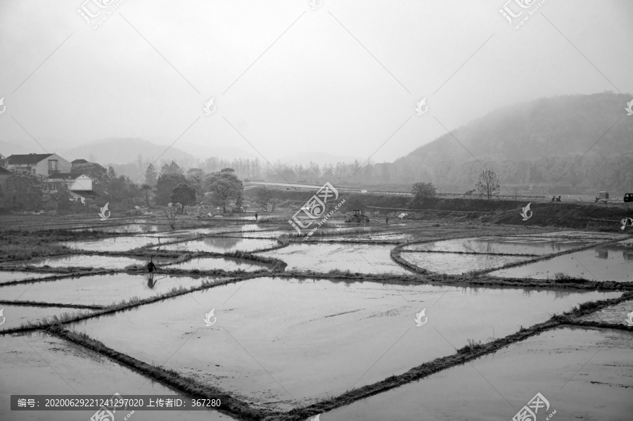 乡村农田春耕场景