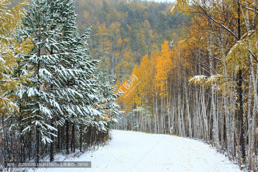 秋季彩林雪路