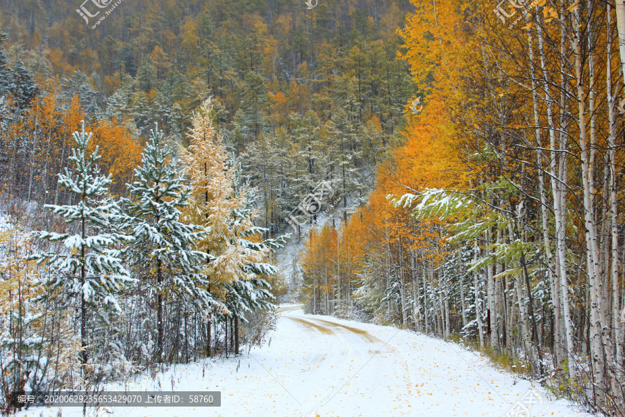 秋季彩林山路雪景